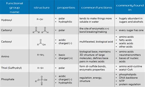 Image result for Types Functional Groups