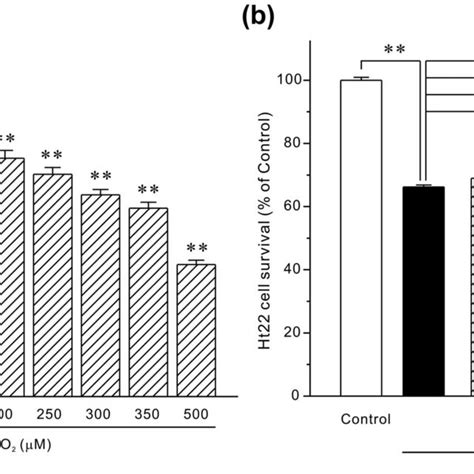 H2O2 HT22 的图像结果