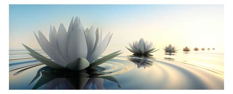 Dedeman Panou decorativ din sticla, pentru bucatarie / baie, DKEMG80 ...