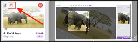 Image result for Convert XCS File to PNG