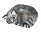 Image result for Purring Discord Server