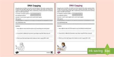Image result for DNA Replication Worksheet Answer Key