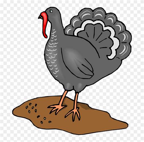 Premium Vector | Turkey domestic farm turkey male bird icon - Clip Art ...