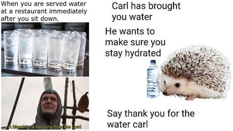 15 Pro-Hydration Memes To Remind You To Drink Water | Know Your Meme