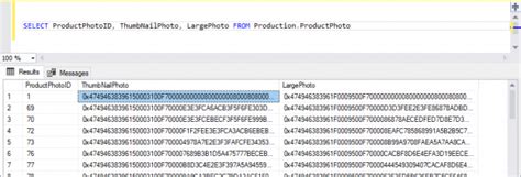 Image Data Type Name in SQL 的图像结果