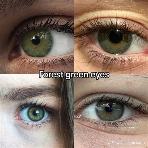 Forest Green Eyes | Ojos bonitos, Pestañas largas, Ojos hazel