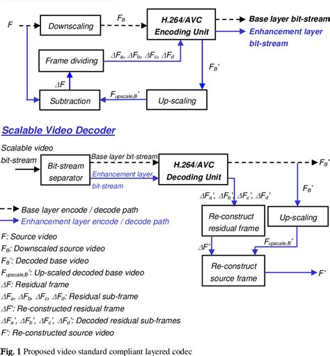 High Protocol Dominance Video Example 的图像结果