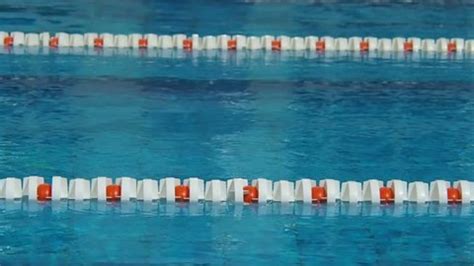 Image result for DNA Replication Process Animation