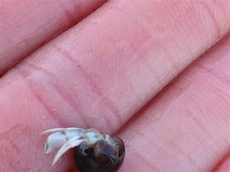 WORKSHOPS NATUURFOTOGRAFIE - DE WITTE HAAS (2025) All You Need to Know ...