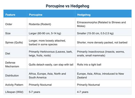 Porcupine vs Hedgehog