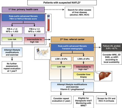 Noninvasive Assessment of Liver Disease in Patients With Nonalcoholic Fatty Liver Disease ...