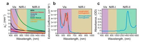 Key Points in Remote-Controlled Drug Delivery: From the Carrier Design ...