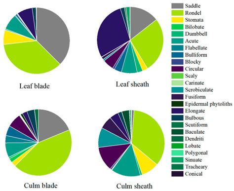 Comparison of Phytolith Characteristics of Three Bamboo Species ...