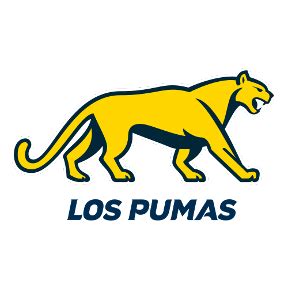 Australia vs Argentina - Report - The Rugby Championship 2025 - 13 Sep ...