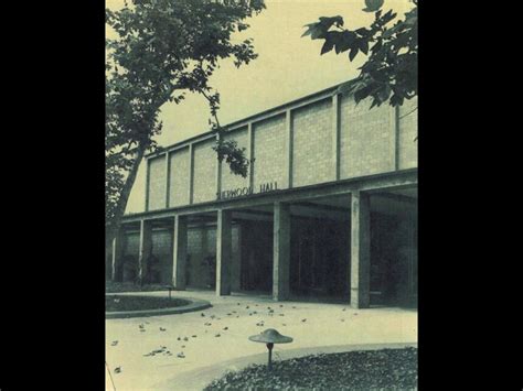 Yve Laris Cohen | Meer