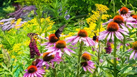Image result for WinCC Project Examples