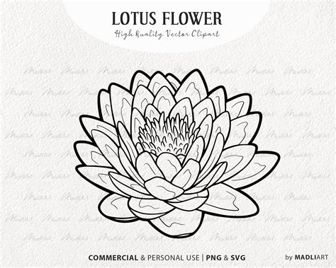 Lotus Flower Outline