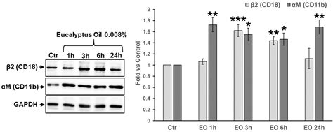 Essential Oil from Eucalyptus globulus (Labill.) Activates Complement ...