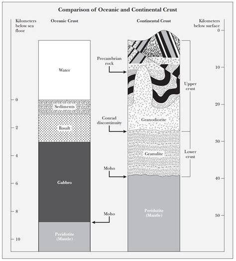 Image result for Earthy Crust