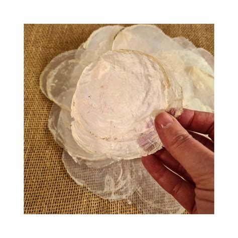 Image result for Capiz Shell Processing