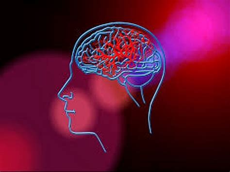 How neuromodulation helps patients recover after a stroke
