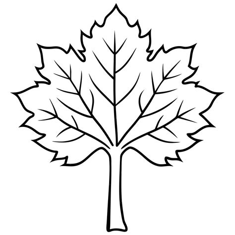 Image result for Maple Tree Line Drawing