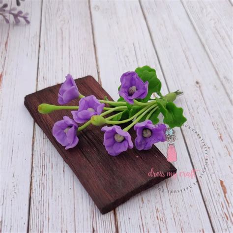 Brunfelsia Latifolia - Purple – CRAFTERS CORNER