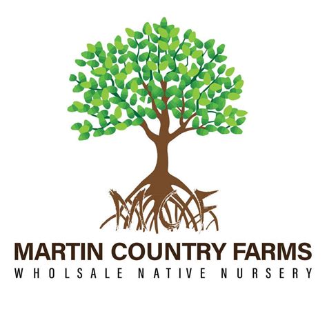 Logo needed for Nursery involving mangrove tree and their name | Freelancer