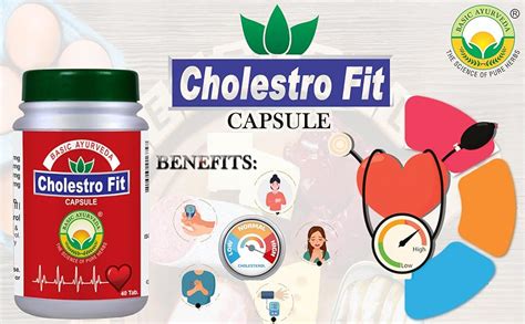Buy Basic Ayurveda Cholestro Fit 40 Capsules Each Pack of 2 Natural ...