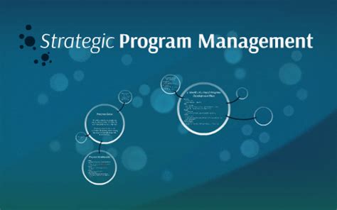 Image result for Program Management Approach