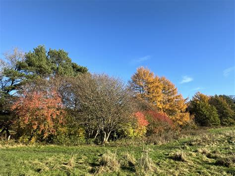 Image result for Creating Environments