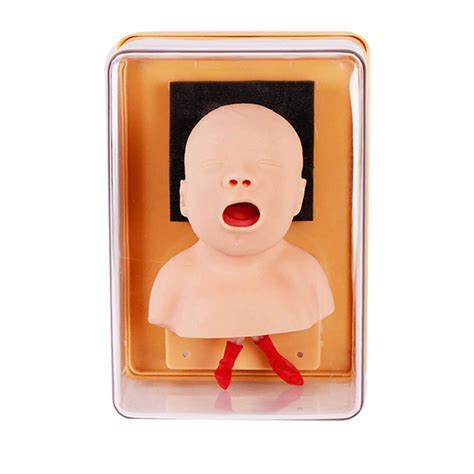 Buy YmnFI Advanced Infant Tracheal Intubation Model, PVC Intubation ...