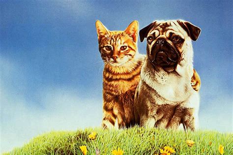 Kid Friendly Animal Movies at Stella Sexton blog