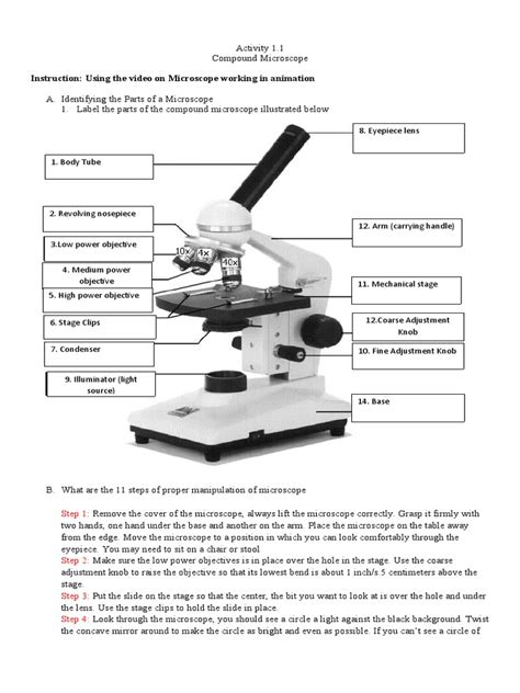Video On Microscope Using Steps 的图像结果