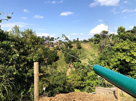 Forest Adventure 的图像结果