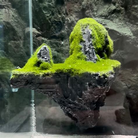 Hanging mountains | decor mountains – Veda Aquarium