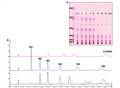 Rezultat imagine pentru MOS Formation