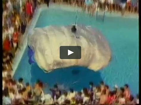 Image result for +Vimeo Spring Break Flashera