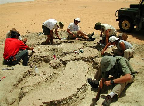 11 facts about Nigersaurus: The dinosaur with 500 teeth