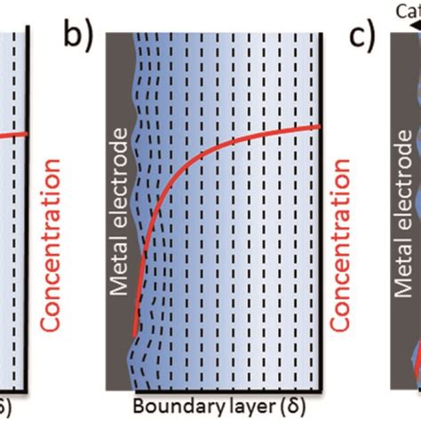 Image result for Electroconcentration Gradient