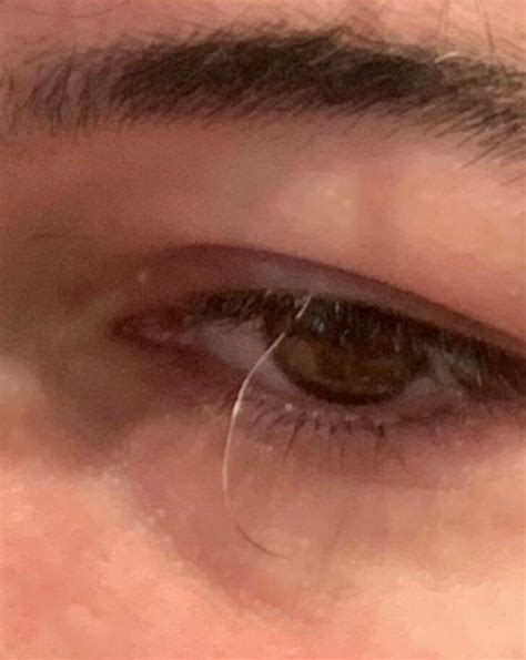 Image result for Houdini 18 Tutorials