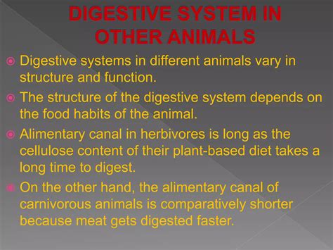 Life Process Class 10 CBSE 的图像结果