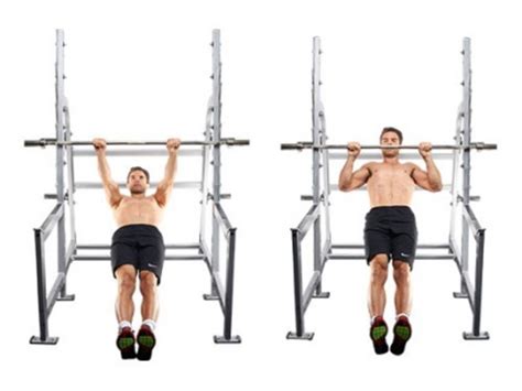 Image result for Inverted Row Exercise