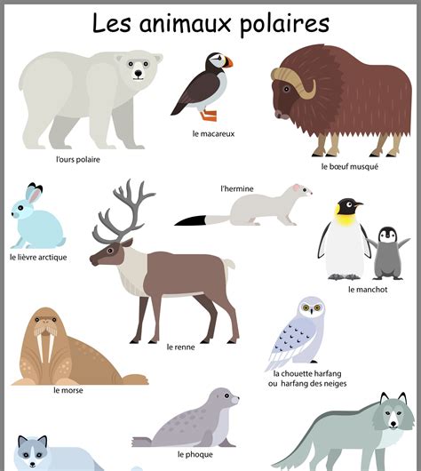 Animals In French