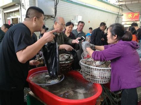 螃蟹较往年便宜 潍坊市民抢"鲜"购|螃蟹|中秋节|海鲜_新浪新闻