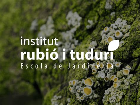 Logotip Institut Rubió i Tudurí - Dommia