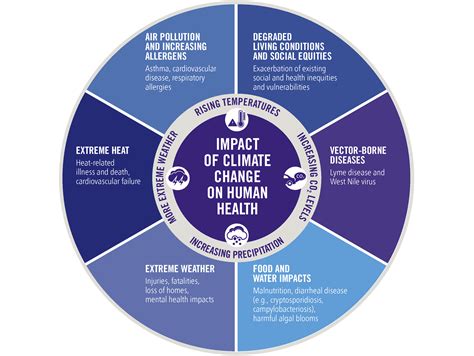 Climate Change and Health | York Region