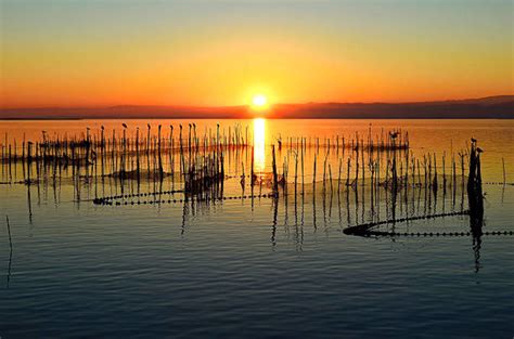 Albufera, valencia, Spain - Top Attractions, Things to Do & Activities ...