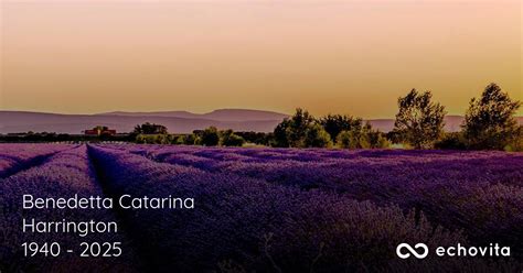 Benedetta Catarina Harrington Obituary (1940-2025) | Oswego, NY