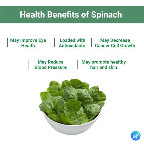 Benefits of Spinach: A Nutritional Powerhouse